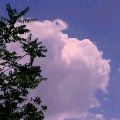 B体育手机版下载